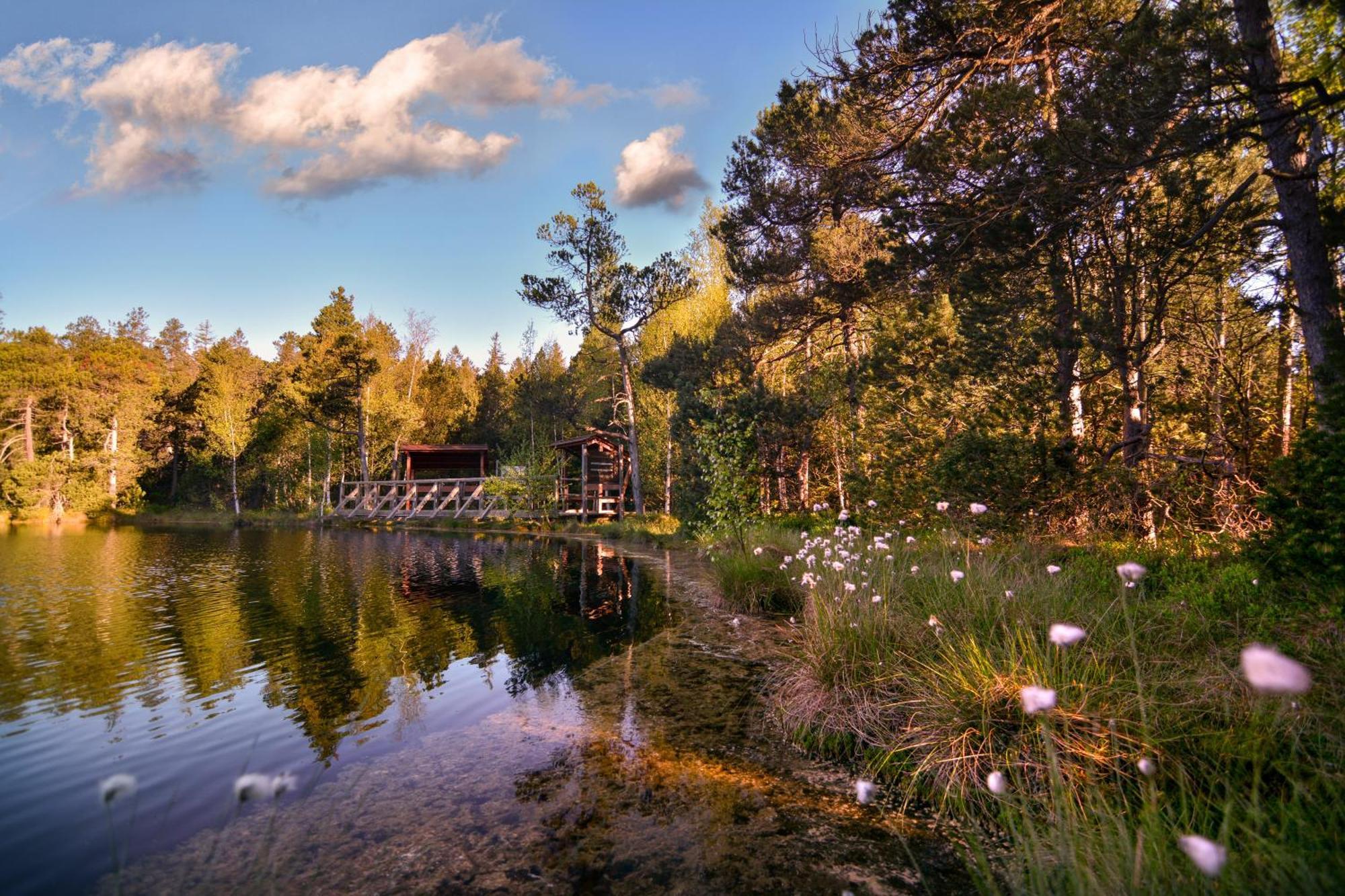 Hotel Krizovy Vrch Jeseník Buitenkant foto